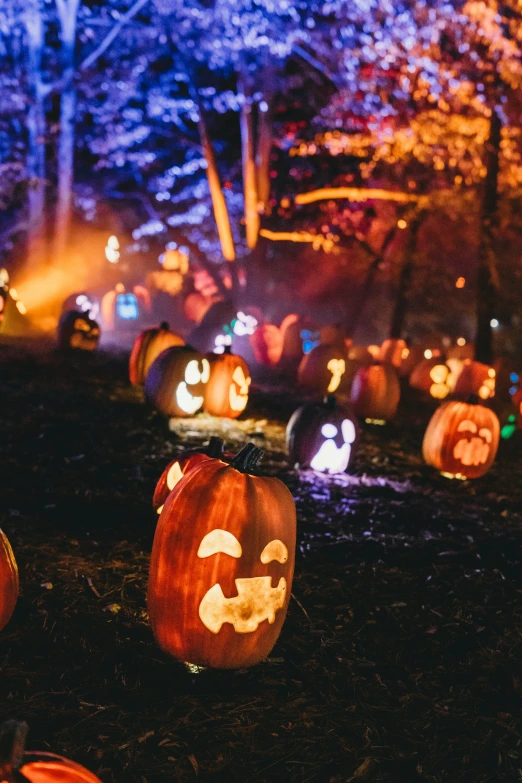 lighted pumpkins that have faces and skulls on them