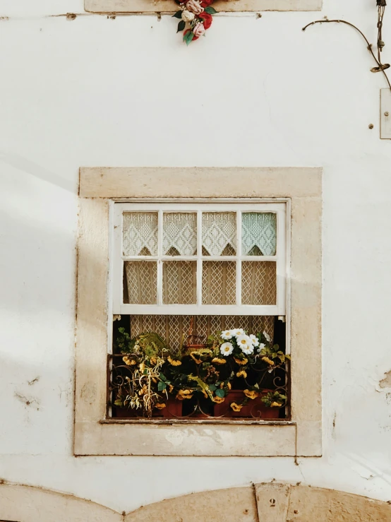 a window in an old - fashioned wall filled with flowers