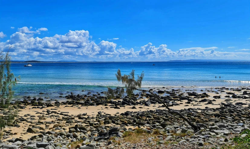 a beach with rocks and water and trees