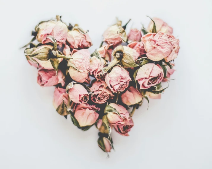 dried roses in the shape of a heart against a white background