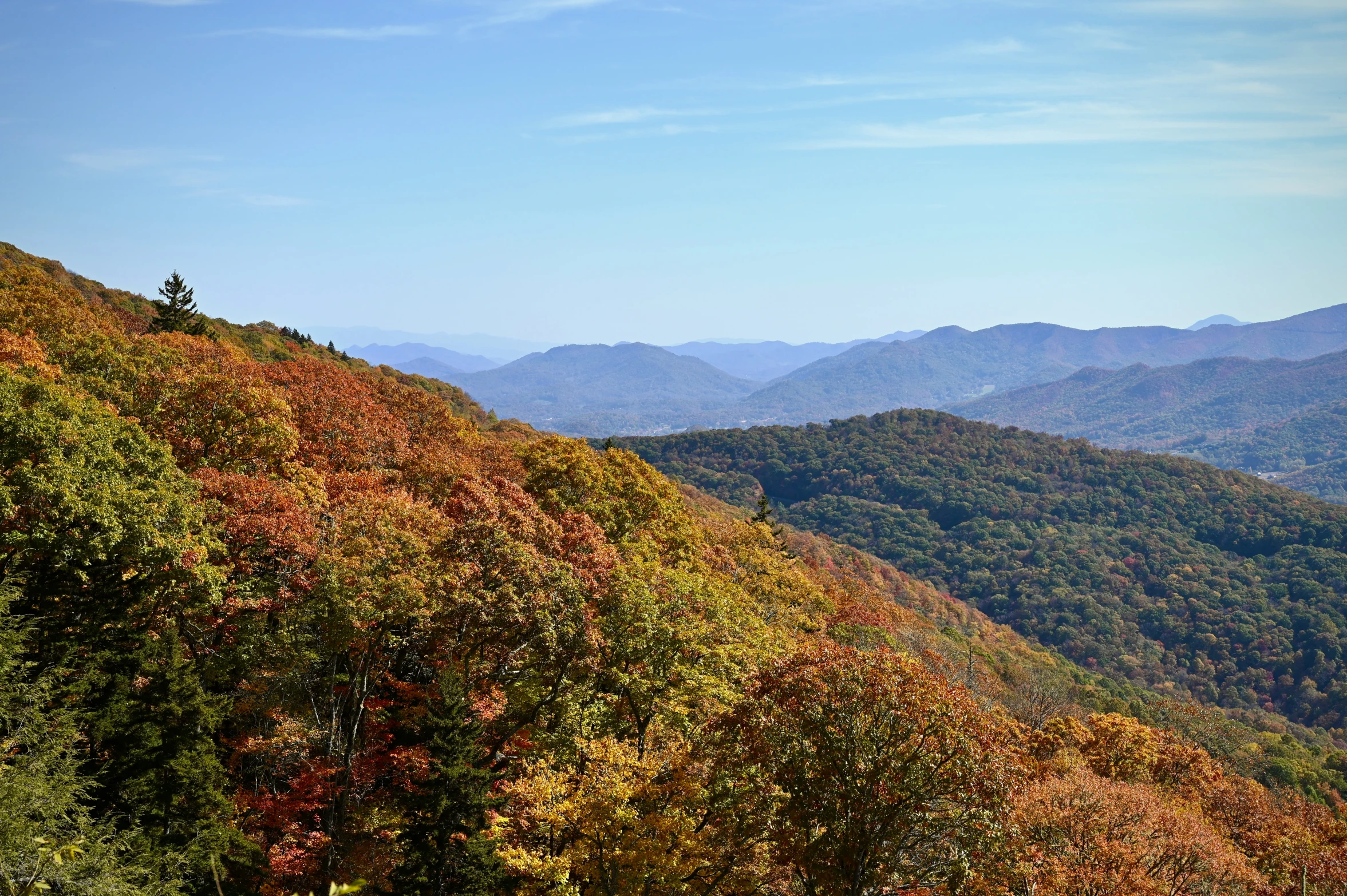 the mountains are covered in yellow and green foliage