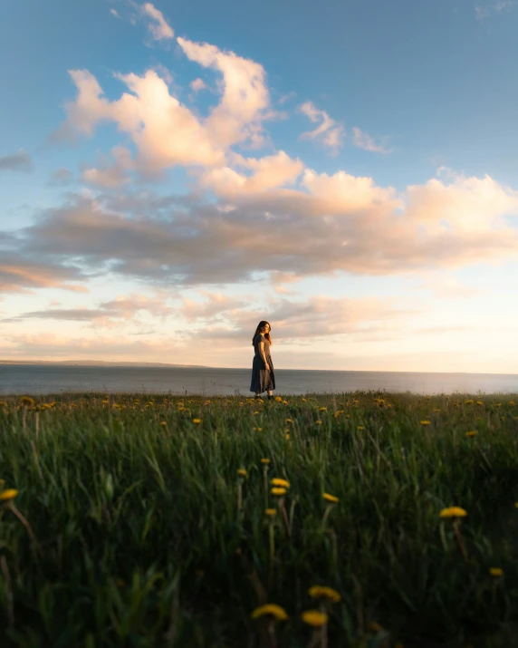 an artistic pograph of a couple standing in the grass