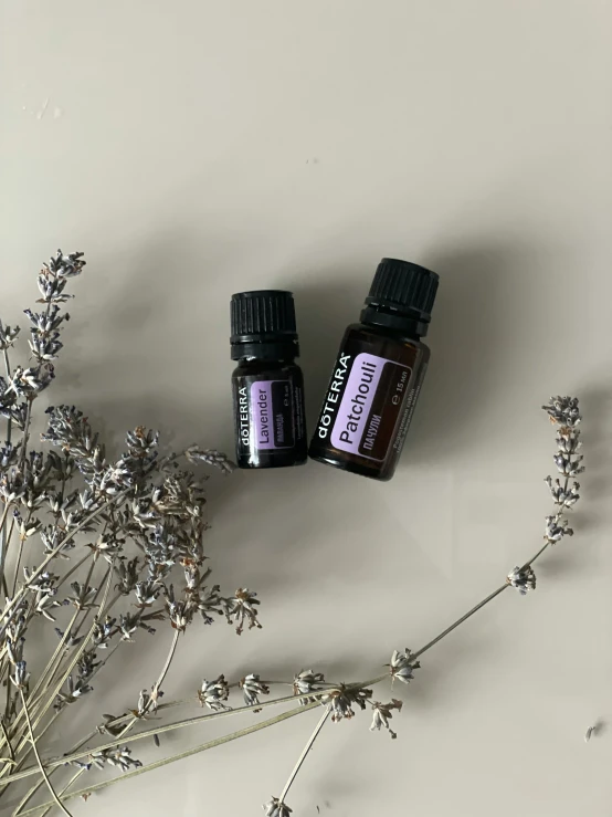 two bottles of essential oils sitting on a counter next to a plant