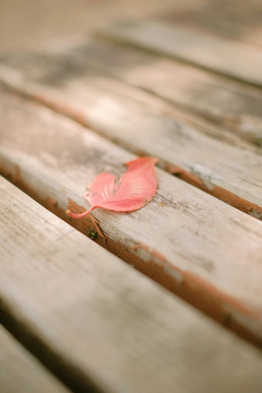 a red leaf is laying on a wooden table