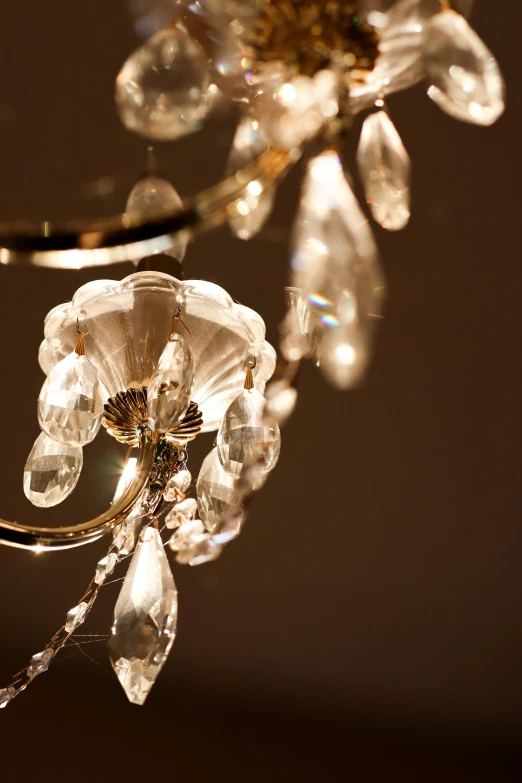 an intricate chandelier hanging with clear glass drops