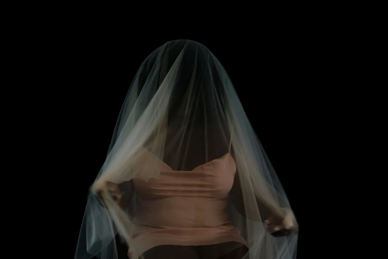 a woman is dressed in lingerie and veil