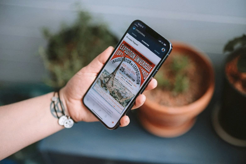 a person holds a cellphone displaying an online site