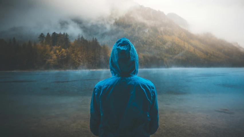 a person with their back to the camera, walking alone