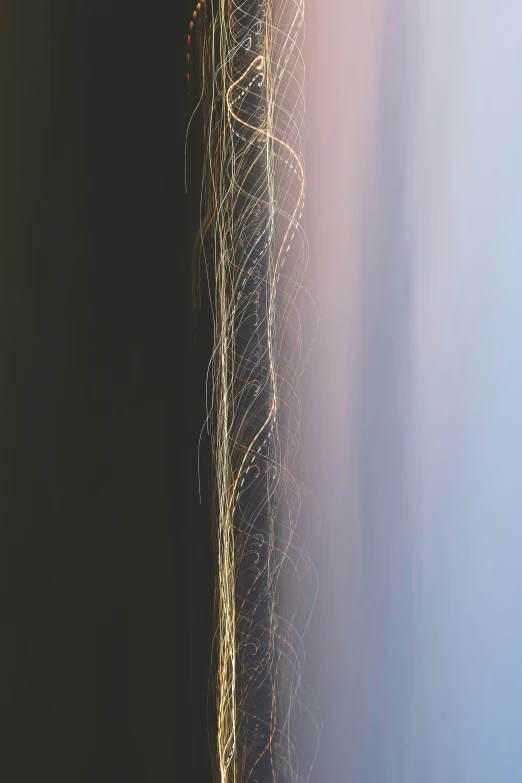 an overhead image of a long grass on a sunny day