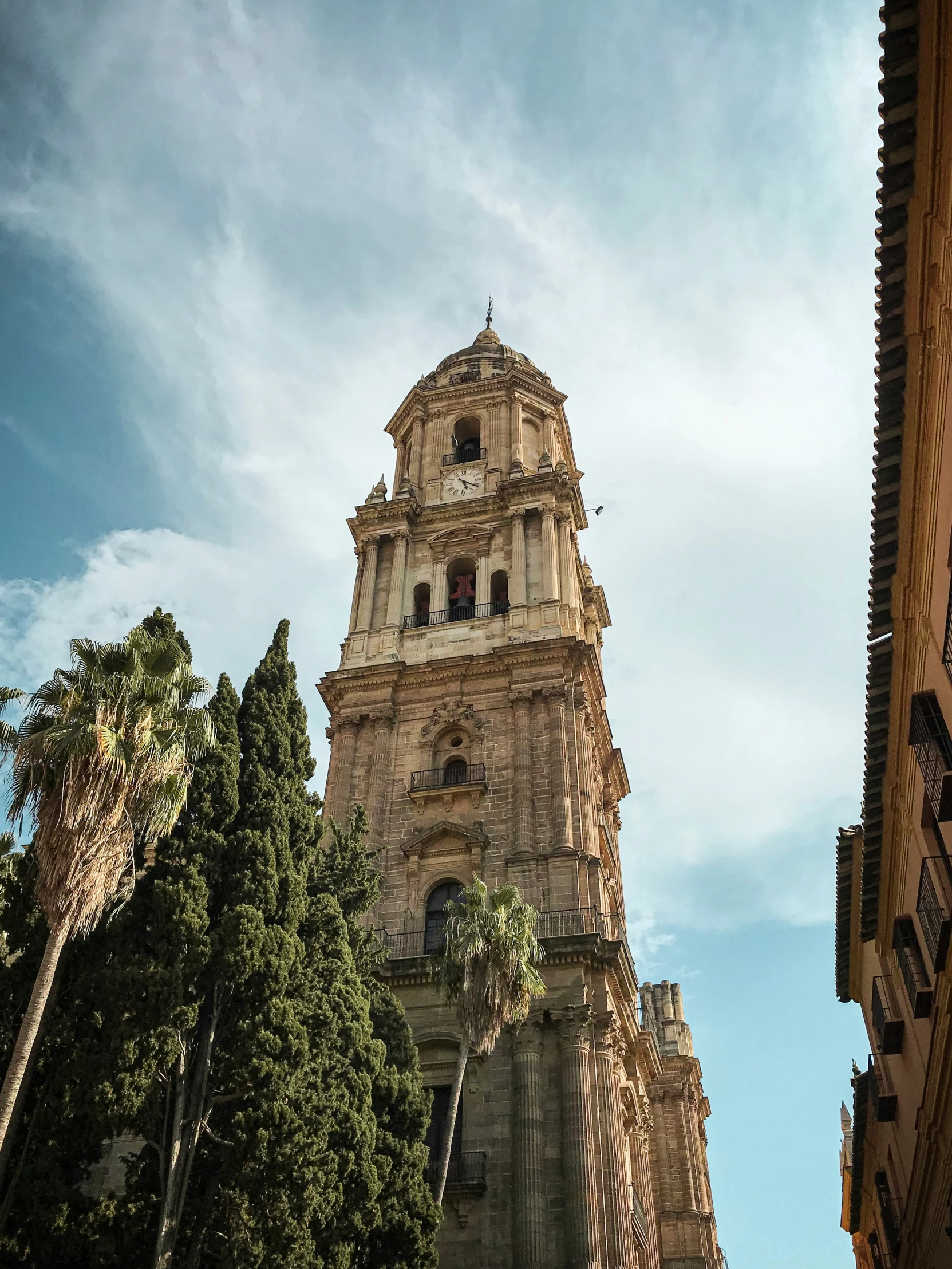 an image of a clock tower from ground level