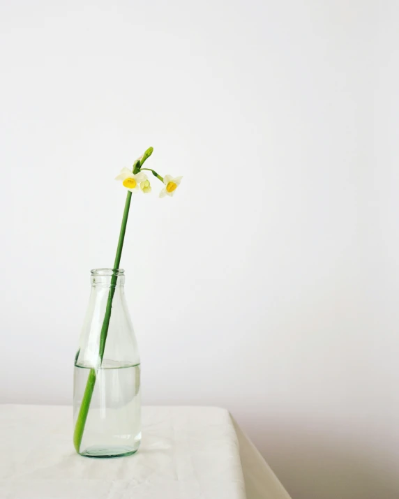 a small yellow flower in a glass vase