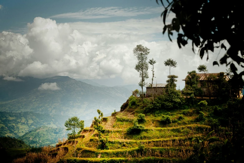 landscape pograph with trees on a mountain top