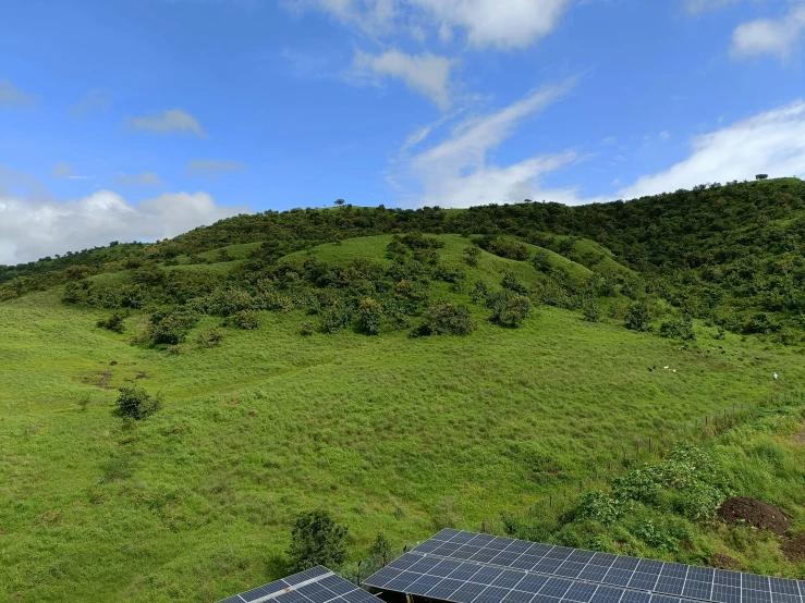 view of grassy hill with shed at bottom