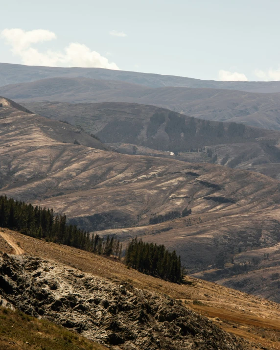 a lone horse walking in a barren mountain range