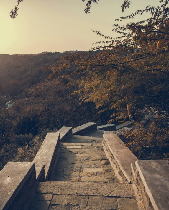 a set of stone stairs near trees on a hill