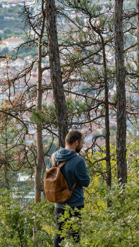 man walking on the edge of a hill surrounded by pine trees