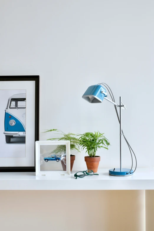 a lamp, picture and plant on a shelf