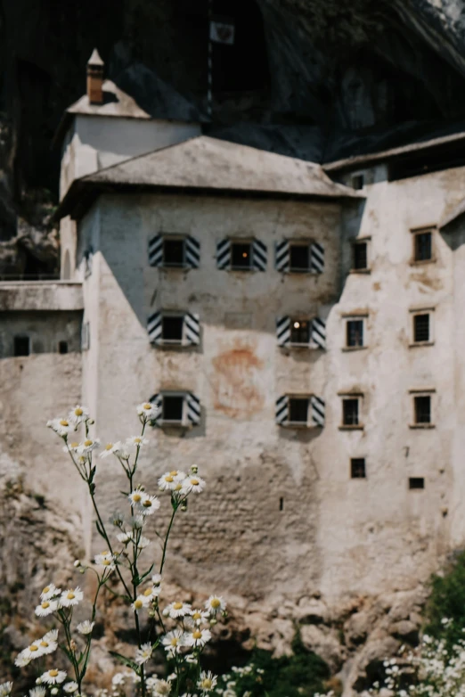 an old building with two windows near flowers