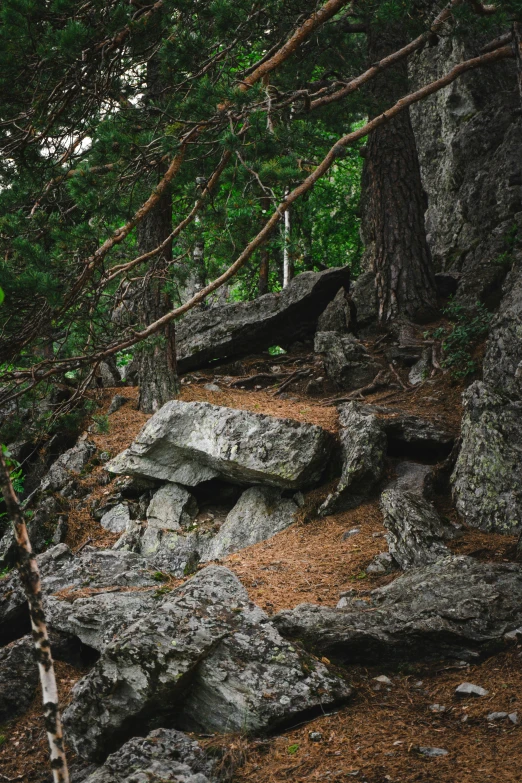 the rocks are strewn about the tree tops