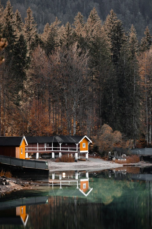 a house sitting on top of a lake next to a forest