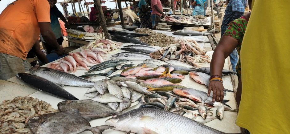 several people gather around a table full of fish