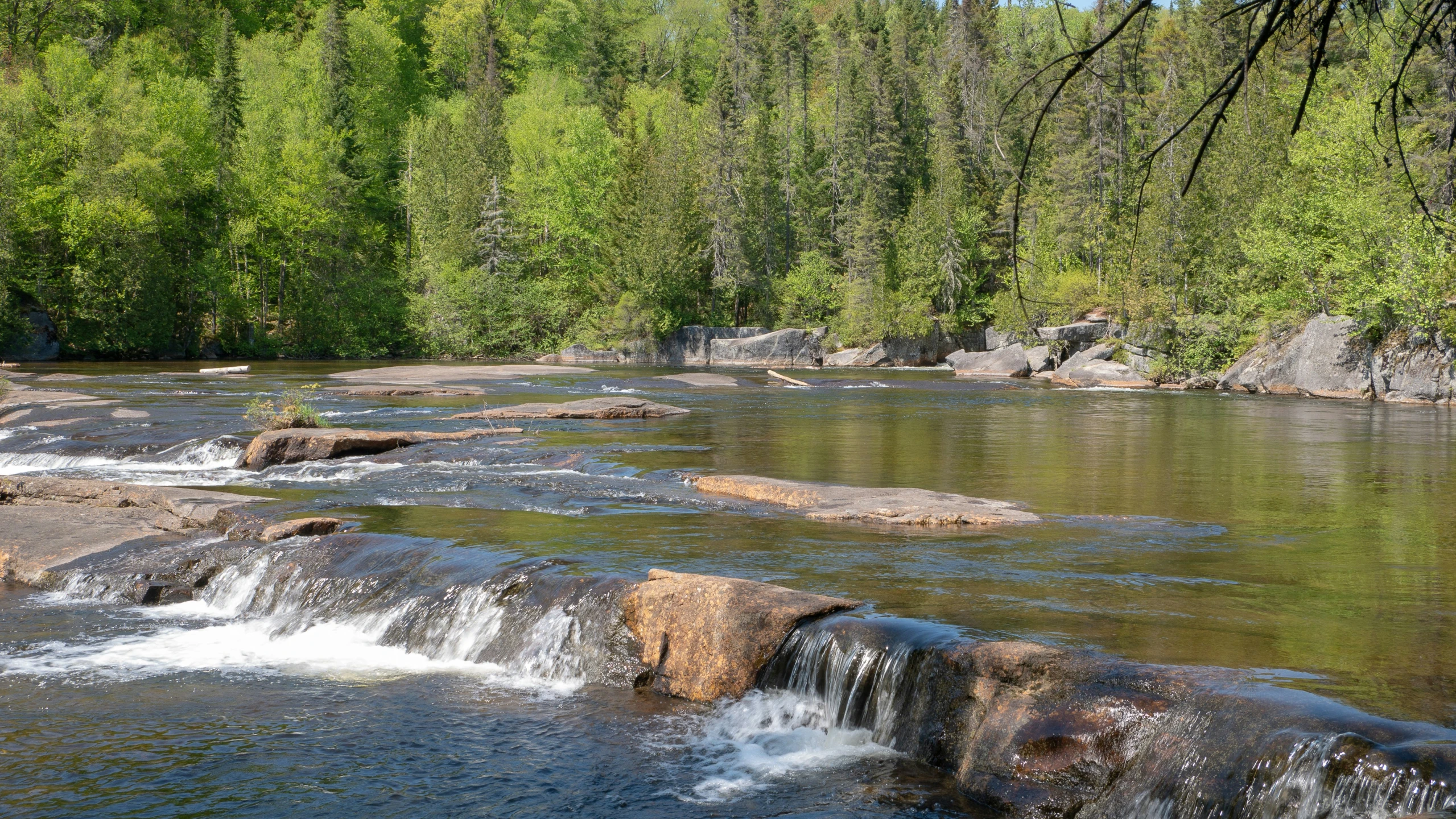 the creek is surrounded by a lot of rocks and boulders