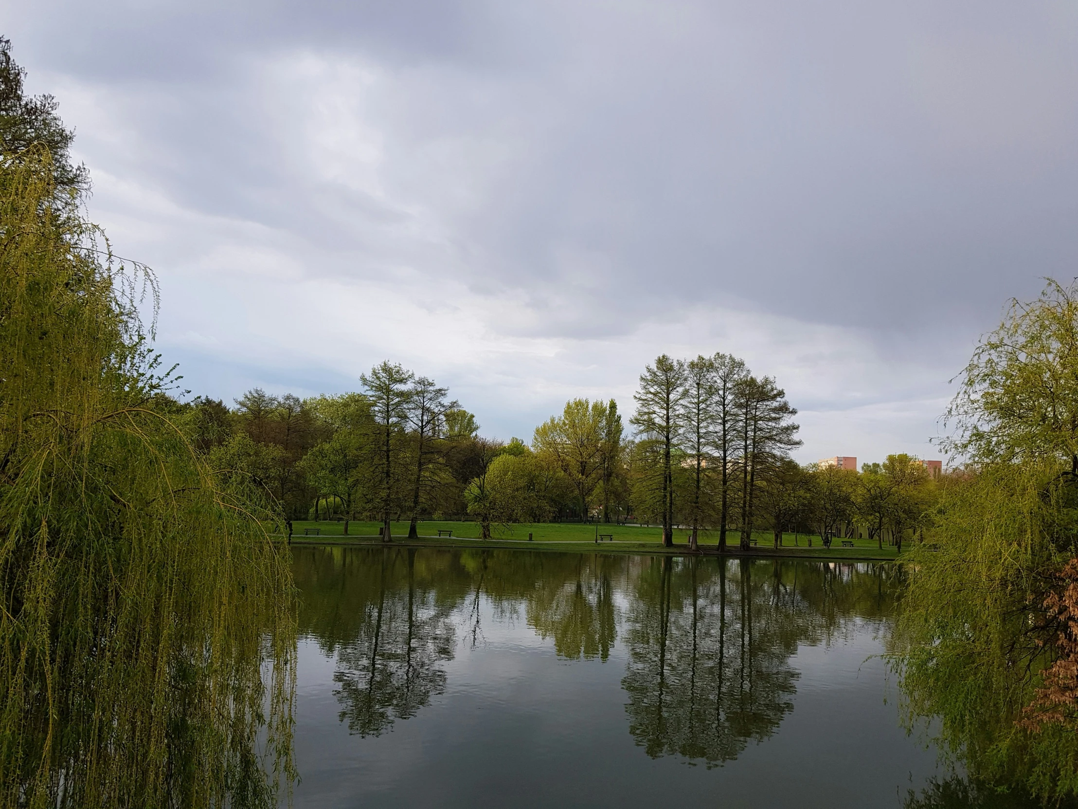 water near green trees on a cloudy day