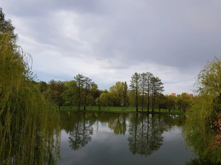 water near green trees on a cloudy day