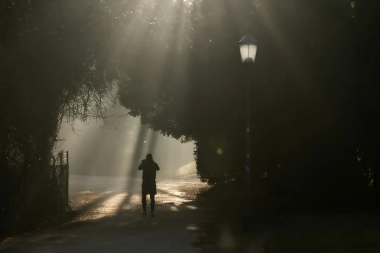 man walking down the path in the sunbeams through the trees
