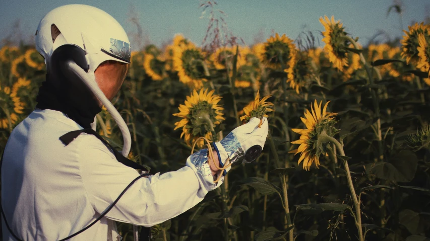 a person in a white suit standing near a field of yellow flowers
