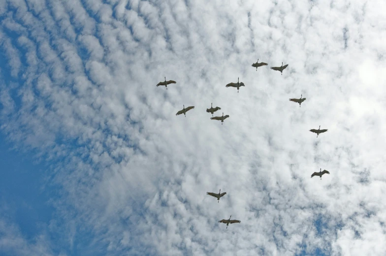 six jets in formation flying through a cloudy sky