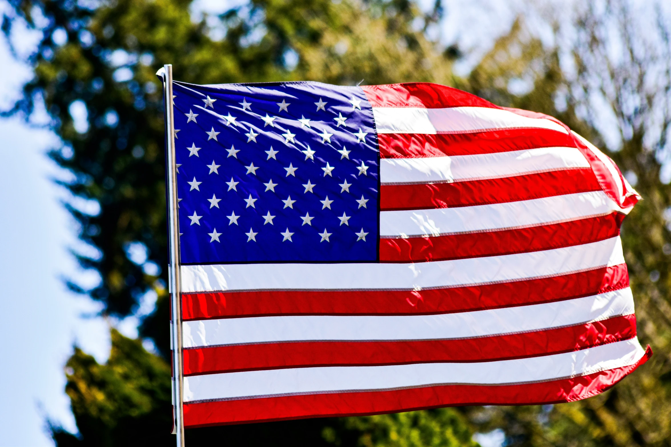 a red, white and blue flag flying near the woods