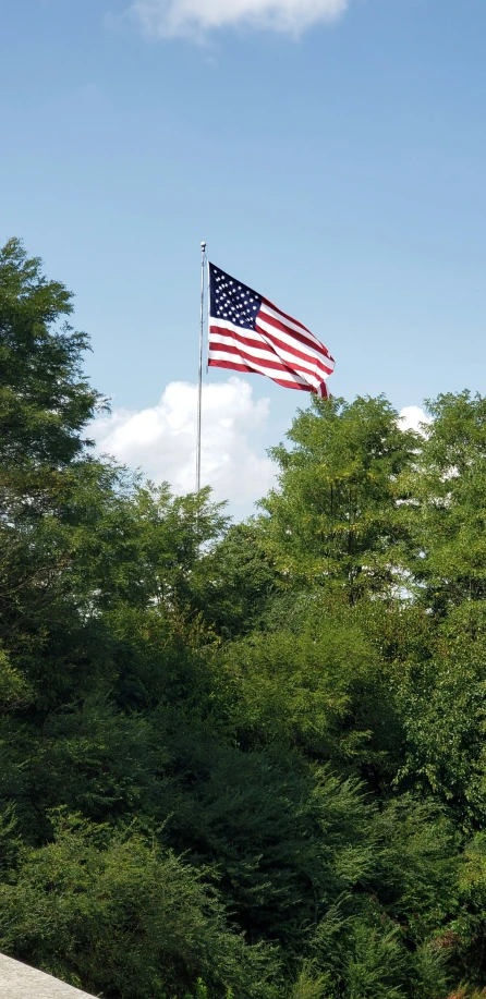 a flag with trees in the background