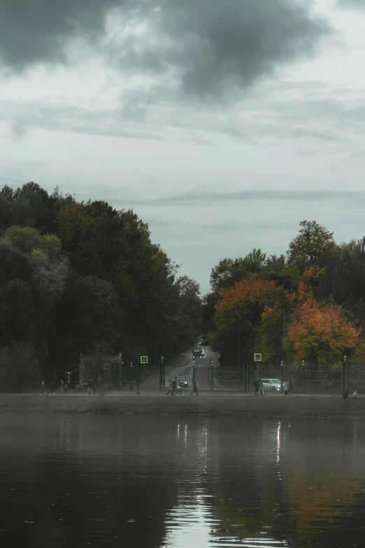 a flock of birds are sitting on the bank of a pond