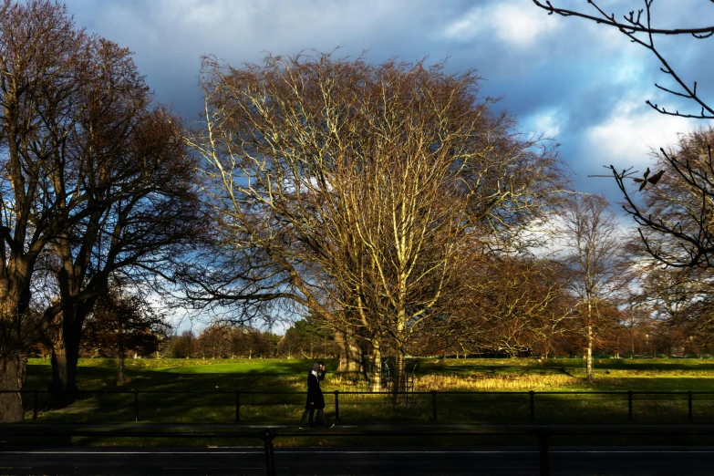 a bike rider passing through a park with trees