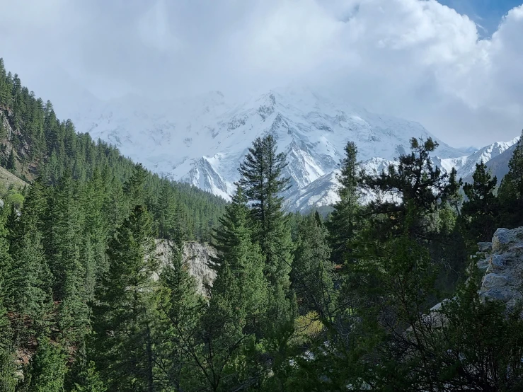 a view of a mountain in the distance with trees around it