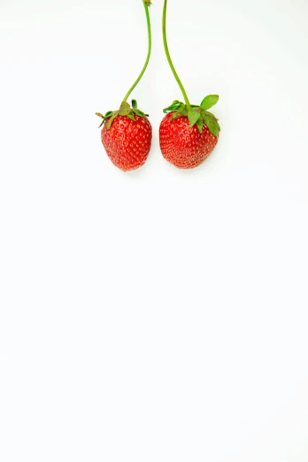 two small red strawberries that are laying down