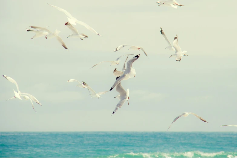 many birds flying in the air above the ocean