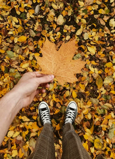 someone's feet holding onto an orange leaf