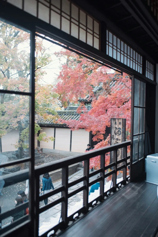 the window shows an autumn tree outside