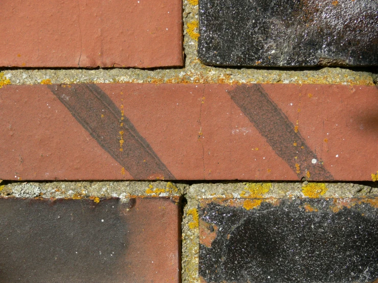 a walk way made of brick with yellow lichen on it