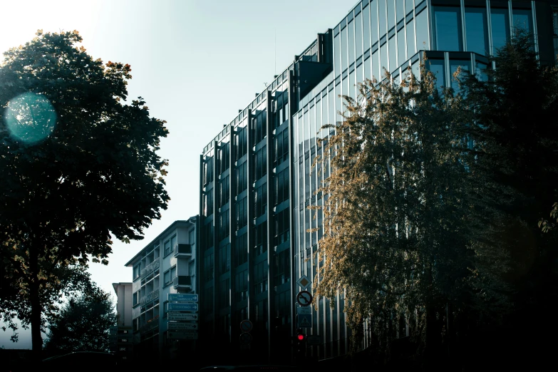 a building with tall windows and some trees