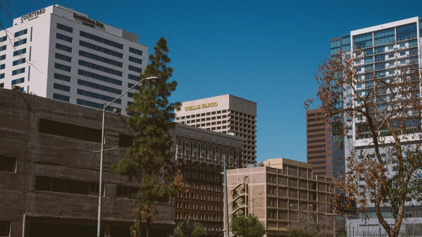 some trees and buildings are on the street