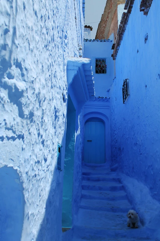 an image of a staircase going up the hill