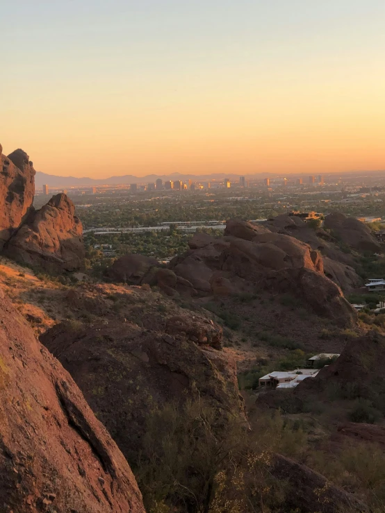 two brown bears sitting on top of a hill next to the city