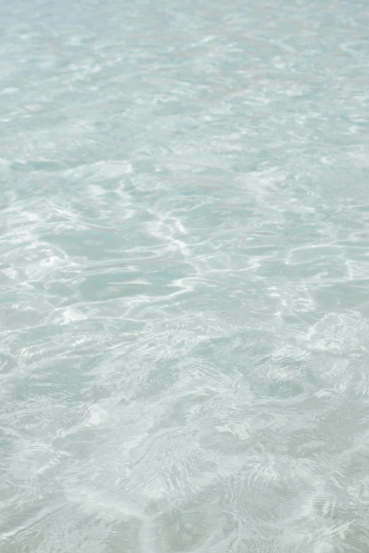 a couple of birds swimming across a body of water