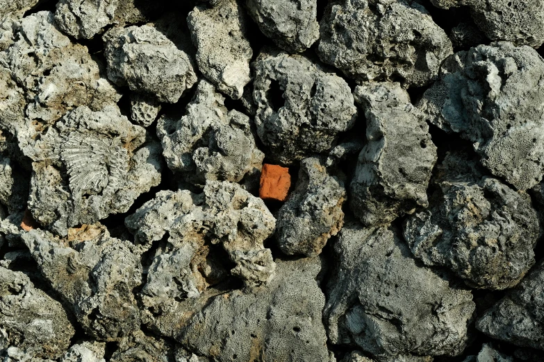 an orange object nestled between some rocks