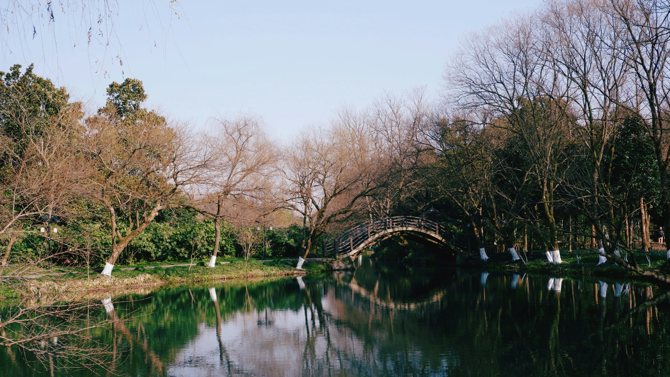 a body of water surrounded by lots of trees