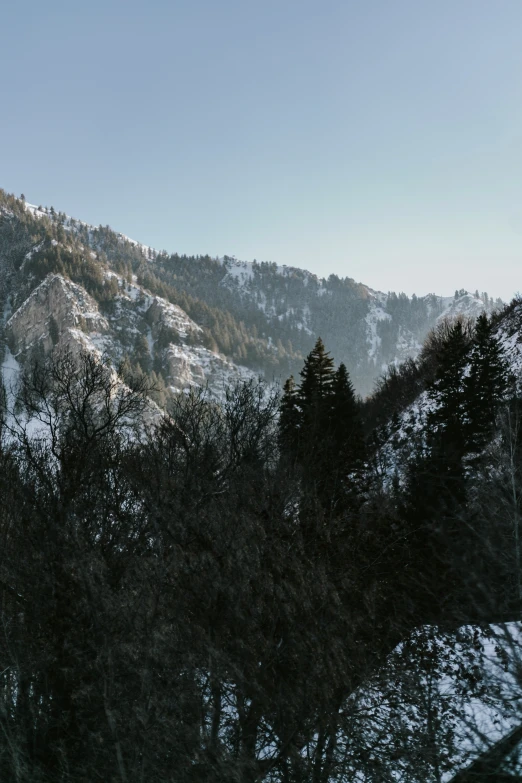 a snow covered mountain range surrounded by trees