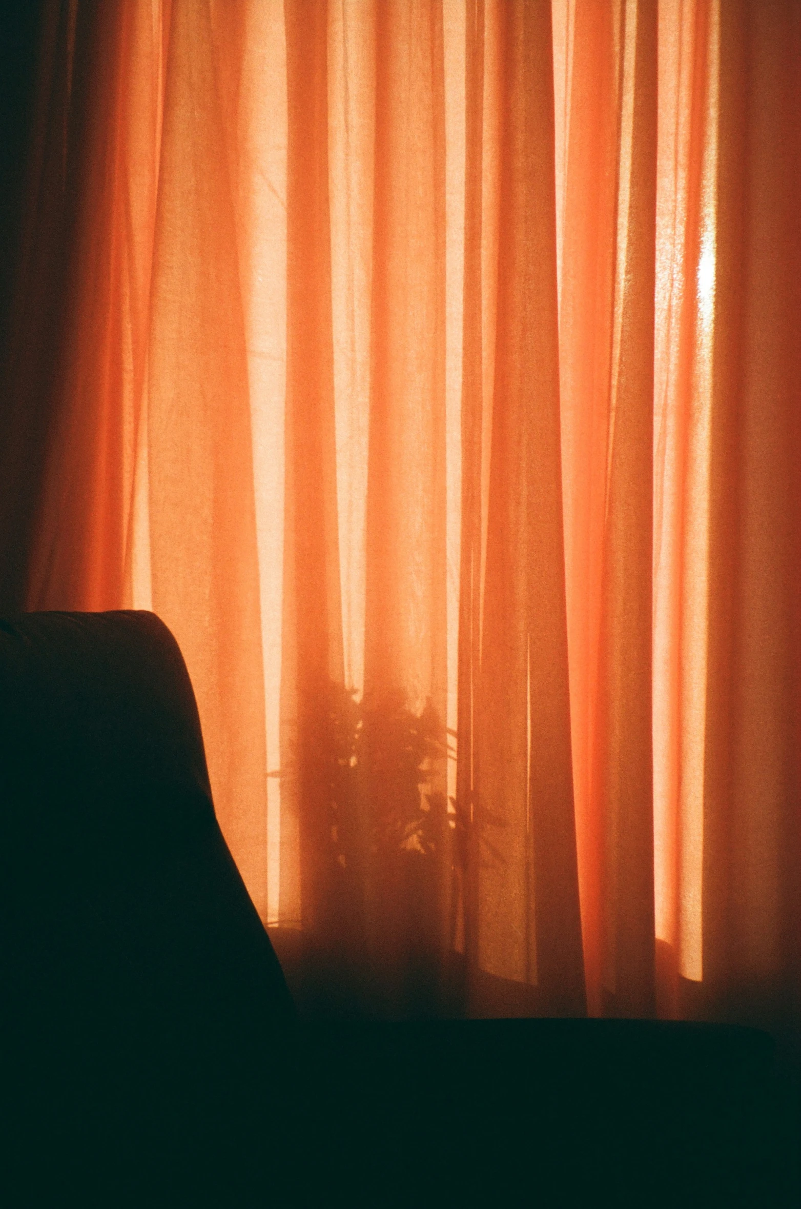 the sun shining through the curtain onto a living room